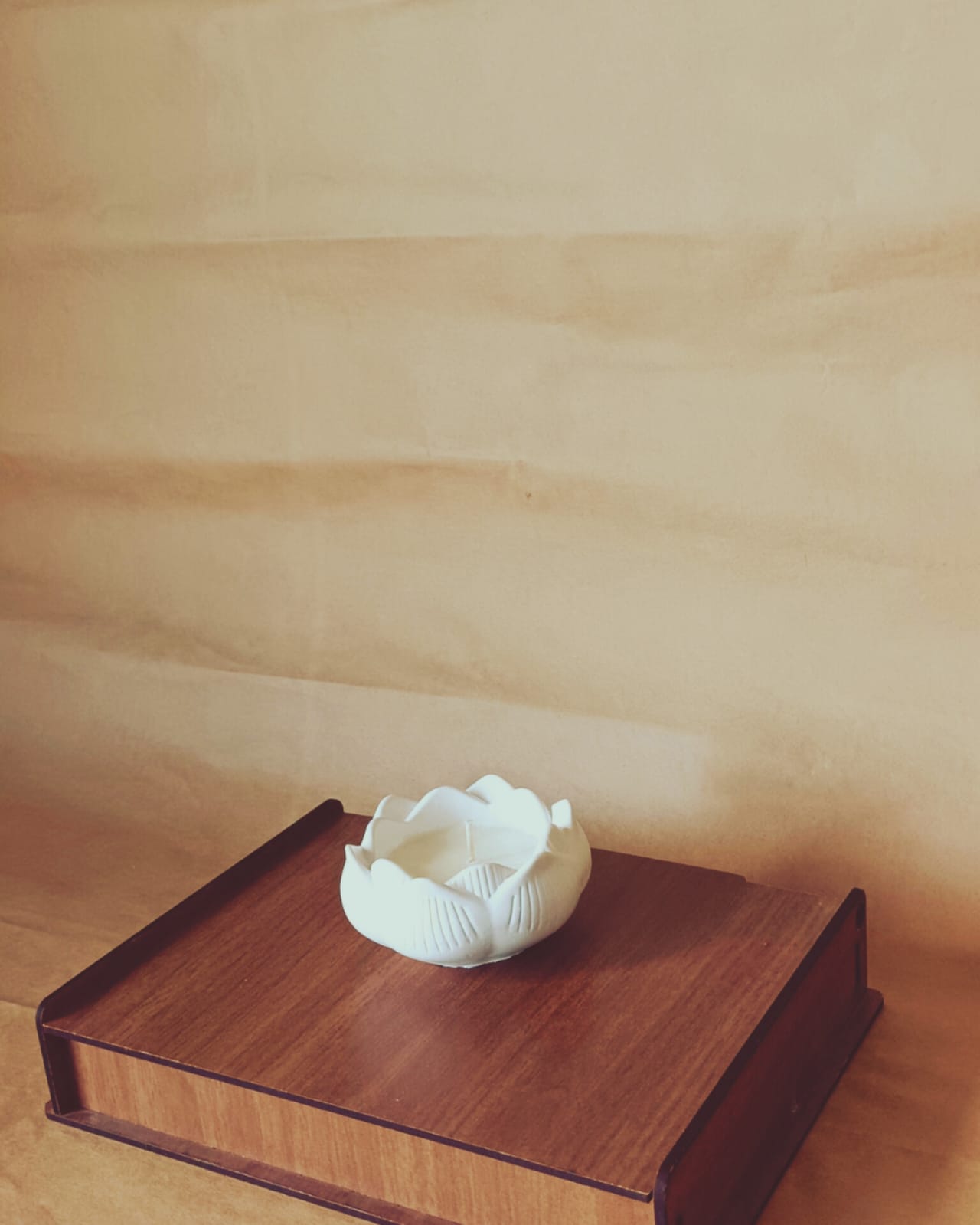 Minelly Lotus