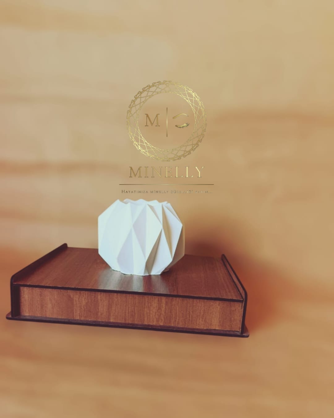 Minelly Geovazo