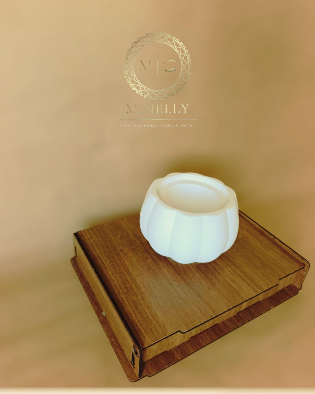 Pumpkin Touch Saksı