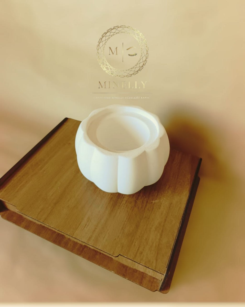 Pumpkin Touch Saksı